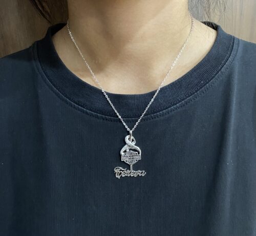 Customize Your Name With HLD Necklace With Free Matching Earrings High Quality 925 Sterling Silver 18K Gold 18K Rose Gold Version 7 photo review